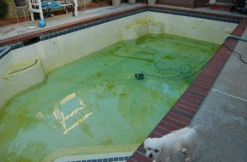 游泳池灭藻
